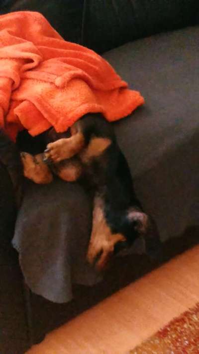 Die unbequemsten und lustigsten Schlafpositionen-Beitrag-Bild