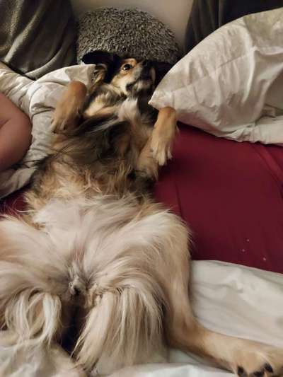 Fotochallenge Nr.65-Beitrag-Bild