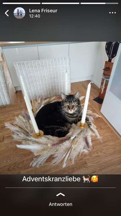 23. Handy Foto-Challenge-Beitrag-Bild