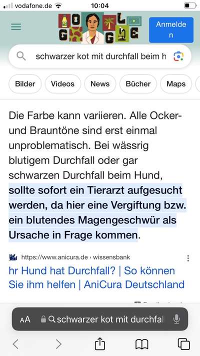 Schwarzer Kot mit Durchfall-Beitrag-Bild