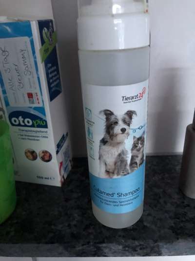 Rote pfoten-Beitrag-Bild