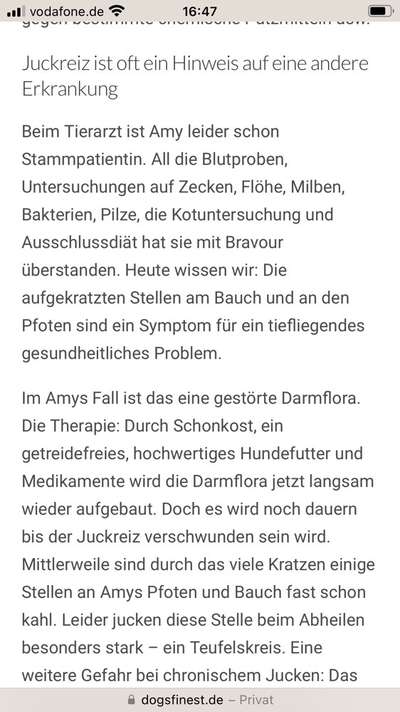 Hautausschlag Ekzem ?-Beitrag-Bild