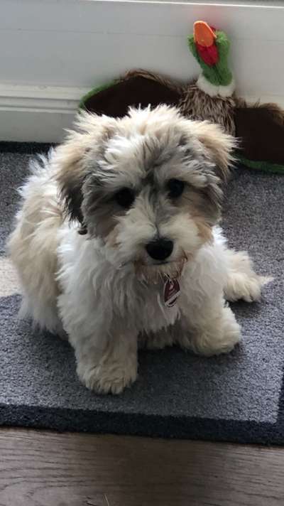 23. Handy Foto-Challenge-Beitrag-Bild