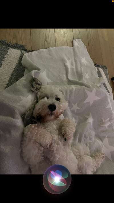 22. Handy Foto - Challenge-Beitrag-Bild