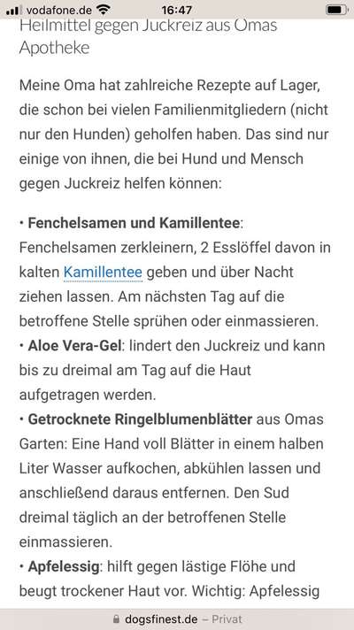 Hautausschlag Ekzem ?-Beitrag-Bild