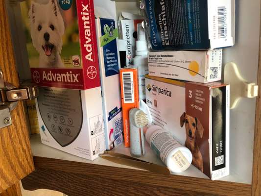 Erfahrungen mit Inuvet Inuzid Spray-Beitrag-Bild