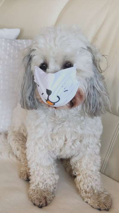 23. Handy Foto-Challenge-Beitrag-Bild