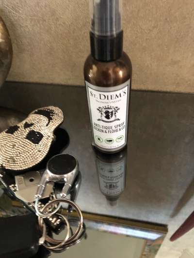 Zeckenschutz ohne Chemie-Beitrag-Bild