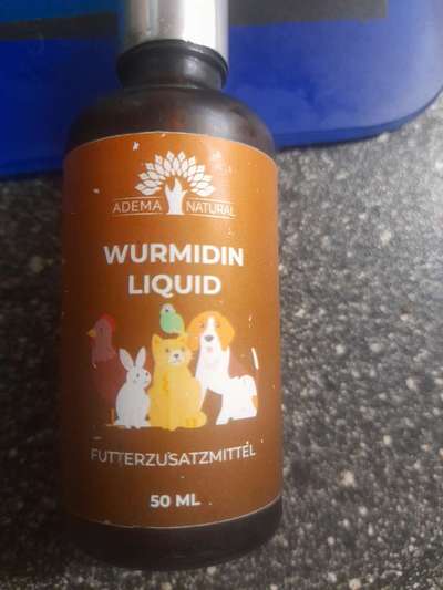 Unser Hund spukt die Wurmkur-Tablette wieder aus-Beitrag-Bild