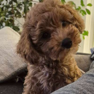 Sabrina's Profilbild