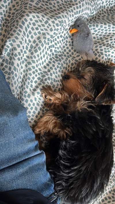 Erstes Bild-Beitrag-Bild