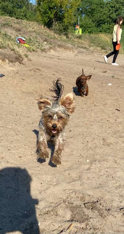 Handy-Foto-Challange Nr.9-Beitrag-Bild