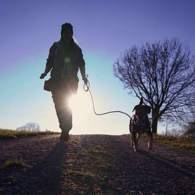 Hundeschulen-Chaoten mit Pfoten-Bild