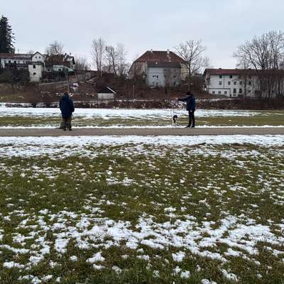 %{de_profession_title}-Sozial Walk-Bild