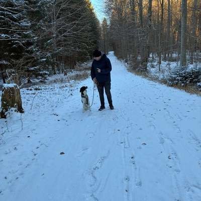 Giftköder-Einzelstunde-Bild