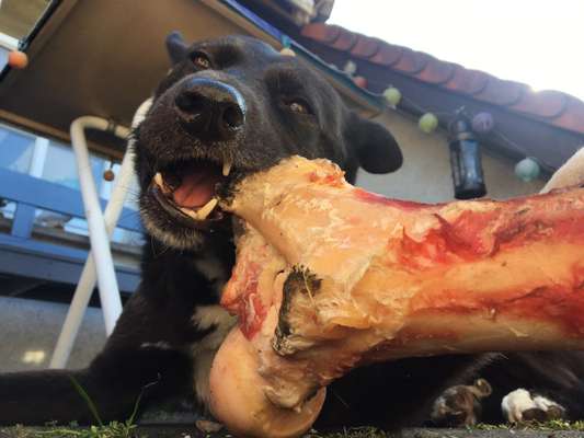 Video Challenge Nr. 4 - Lecker, Lecker-Beitrag-Bild