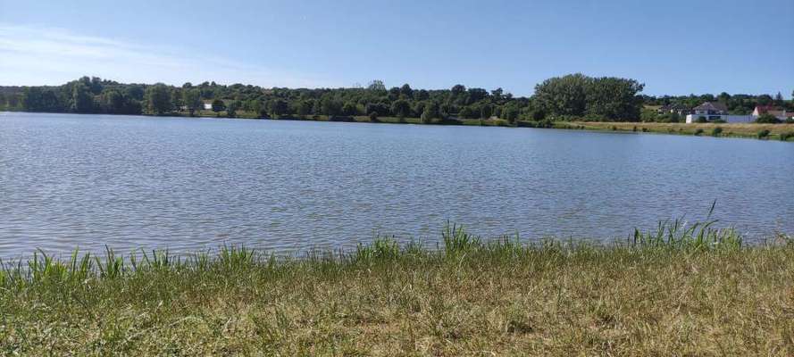 Hundeauslaufgebiet-Obernzenner See-Bild