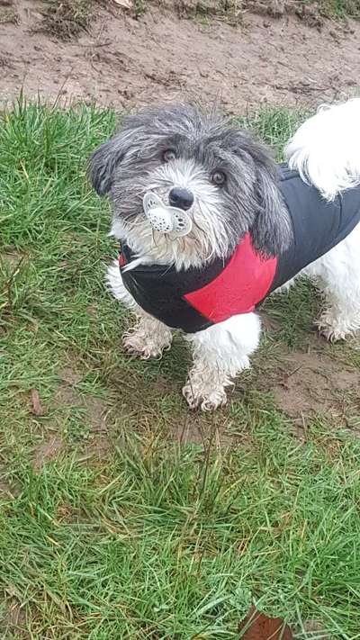 Lustige Bilder-Beitrag-Bild