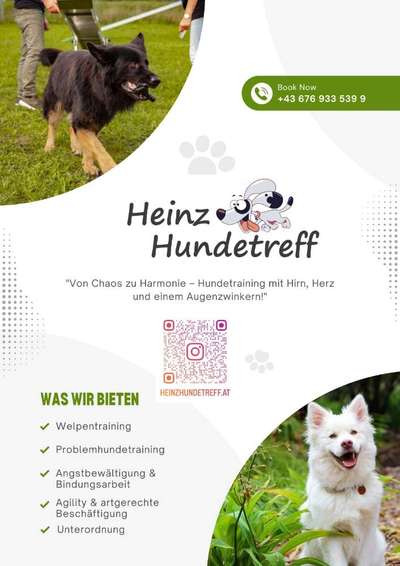 Hundetreffen-Super Hundetraining-Bild
