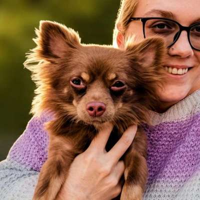 Hundetreffen-Treffen zum Gassi gehen-Bild
