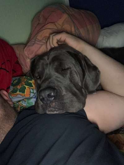 Gemeinsames Kuscheln im Bett!-Beitrag-Bild