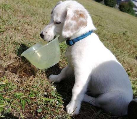 Lustige Grimassen & verrückte Posen-Beitrag-Bild