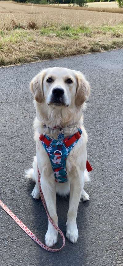 Doppelgänger gesucht !-Beitrag-Bild