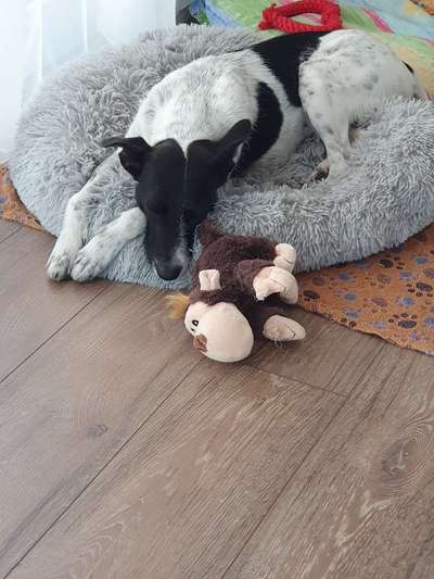 Foto Challenge Nr. 134-Beitrag-Bild