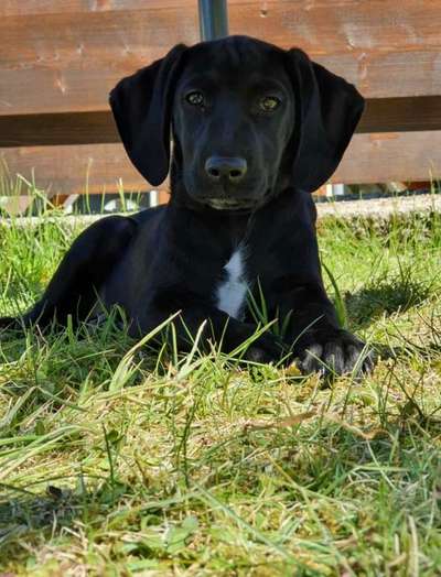 Fotochallange Nr. 57     PORTRÄT.   Beendet!!!!!!!!-Beitrag-Bild