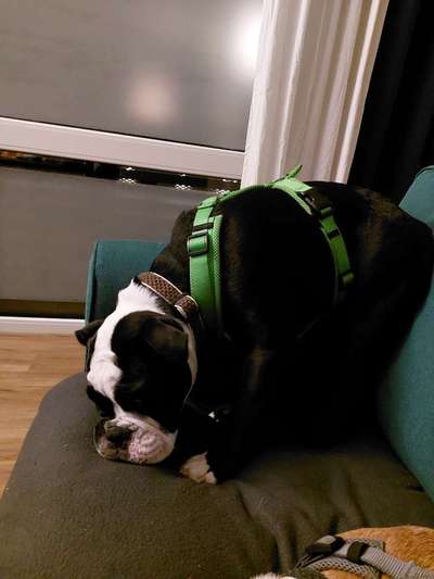 Möchte er uns damit etwas sagen?-Beitrag-Bild