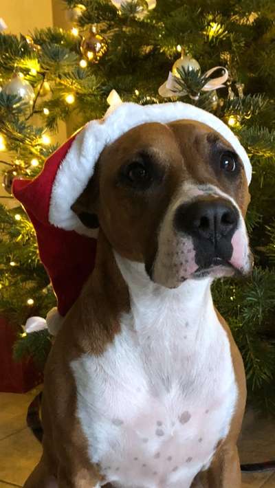 Fotochallange Nr. 57     PORTRÄT.   Beendet!!!!!!!!-Beitrag-Bild