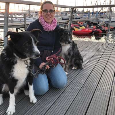 Hundetreffen-Auf der Suche nach Hundekontakten