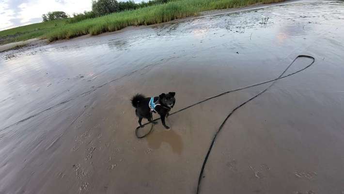 Theos Fotochallange Nummer 4-Beitrag-Bild