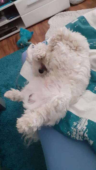 CHALLENGE NR. 34 - Liege-/Schlafpositionen-Beitrag-Bild