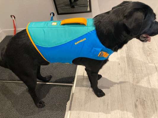 Schwimmweste Ruffwear Float Coat-Beitrag-Bild