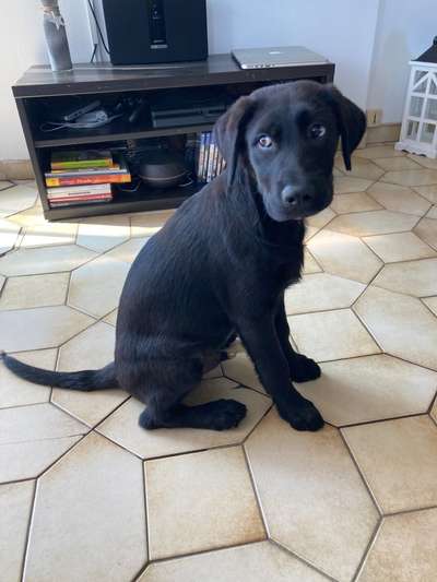 Sie werden so schnell groß!-Beitrag-Bild