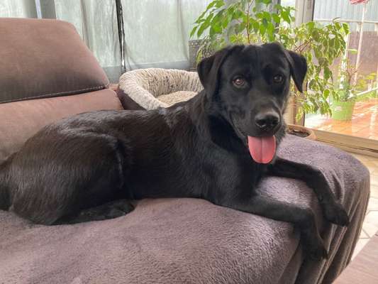 Sie werden so schnell groß!-Beitrag-Bild