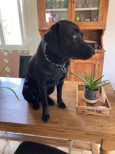 Sie werden so schnell groß!-Beitrag-Bild