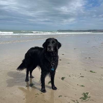 Tipps Fort Mahon/ Quend Plage Frankreich-Beitrag-Bild