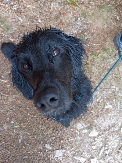 Handy-Foto Challange Nr. 10-Beitrag-Bild