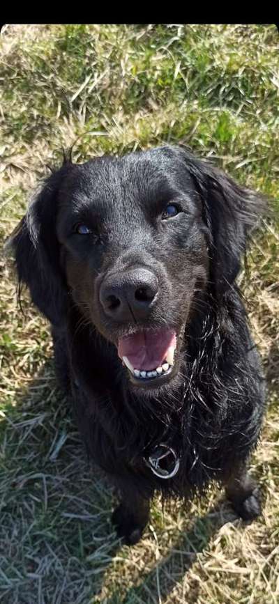 Von oben-Beitrag-Bild