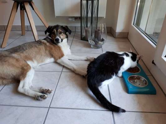 CHALLENGE Nr.17-Beitrag-Bild