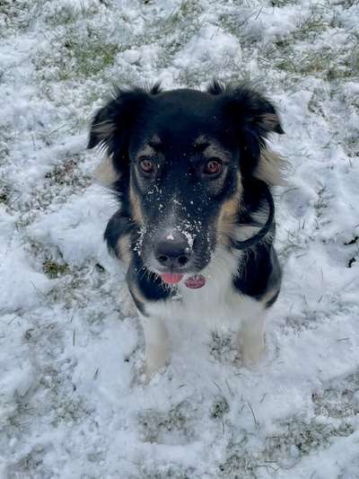 Tongue Out Tuesday-Beitrag-Bild