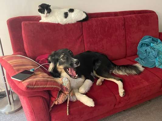 Her mit dem Grimassen-Beitrag-Bild