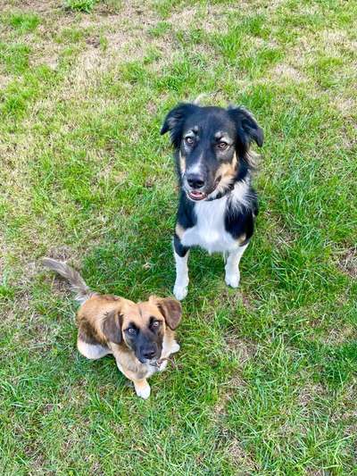 Doppelgänger gesucht !-Beitrag-Bild