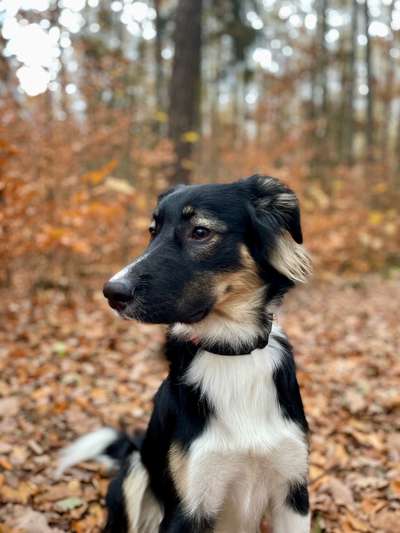 Fotochallenge Nr. 67: Euer Lieblingsbild-Beitrag-Bild