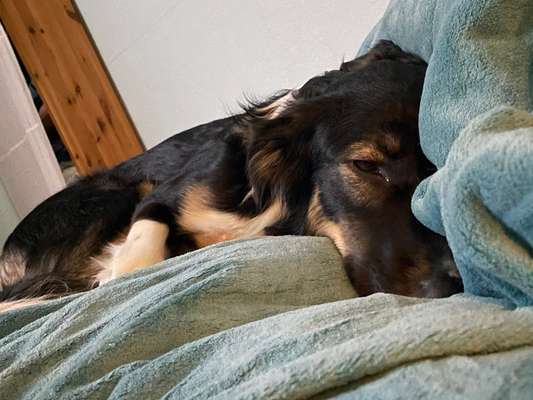 Foto Challange Nr.80-Beitrag-Bild