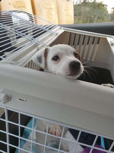 CHALLENGE NR. 18 - ON TOUR-Beitrag-Bild