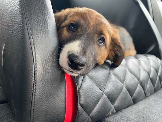 Sie werden so schnell erwachsen ...-Beitrag-Bild