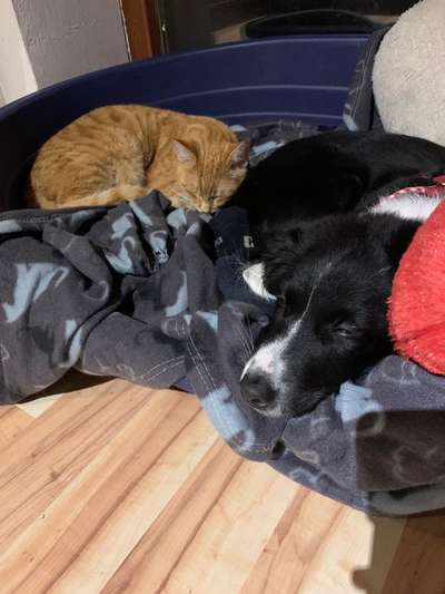 Sie werden so schnell erwachsen ...-Beitrag-Bild